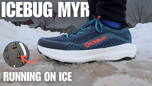 Icebug Myr